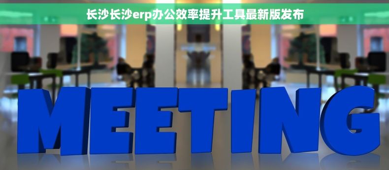 长沙长沙erp办公效率提升工具最新版发布