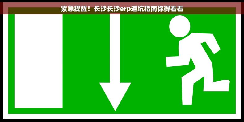 紧急提醒！长沙长沙erp避坑指南你得看看