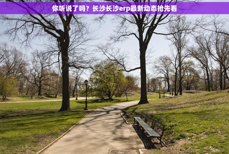 你听说了吗？长沙长沙erp最新动态抢先看