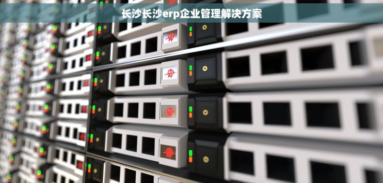 长沙长沙erp企业管理解决方案