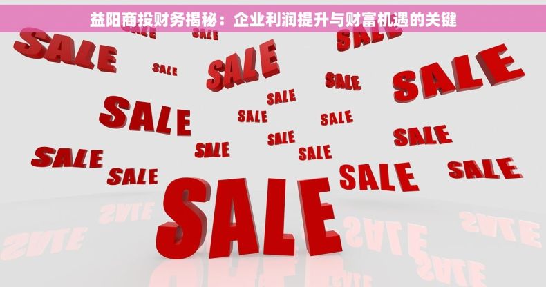 益阳商投财务揭秘：企业利润提升与财富机遇的关键