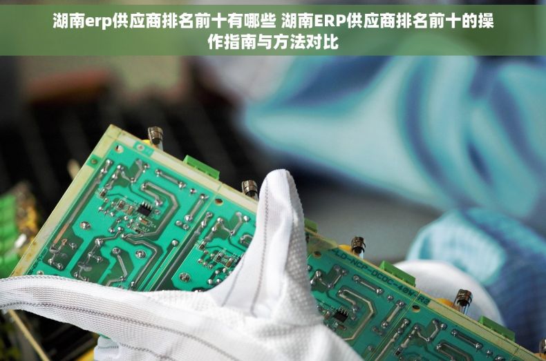 湖南erp供应商排名前十有哪些 湖南ERP供应商排名前十的操作指南与方法对比