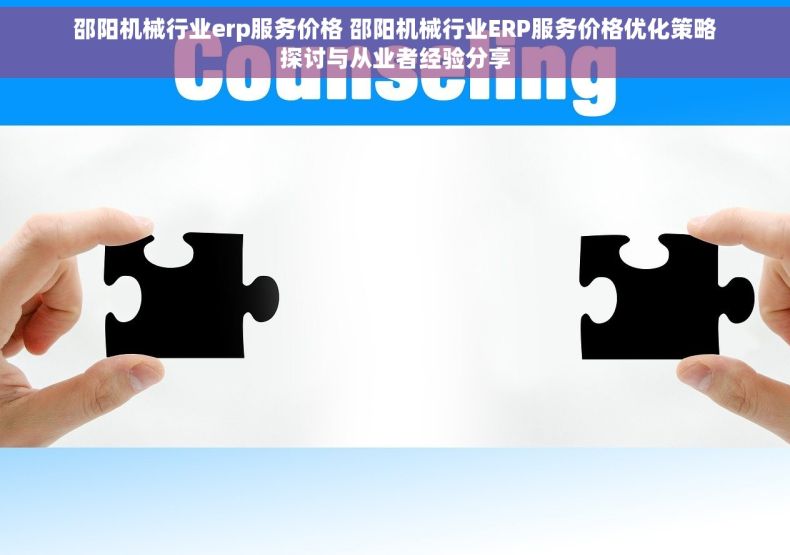 邵阳机械行业erp服务价格 邵阳机械行业ERP服务价格优化策略探讨与从业者经验分享