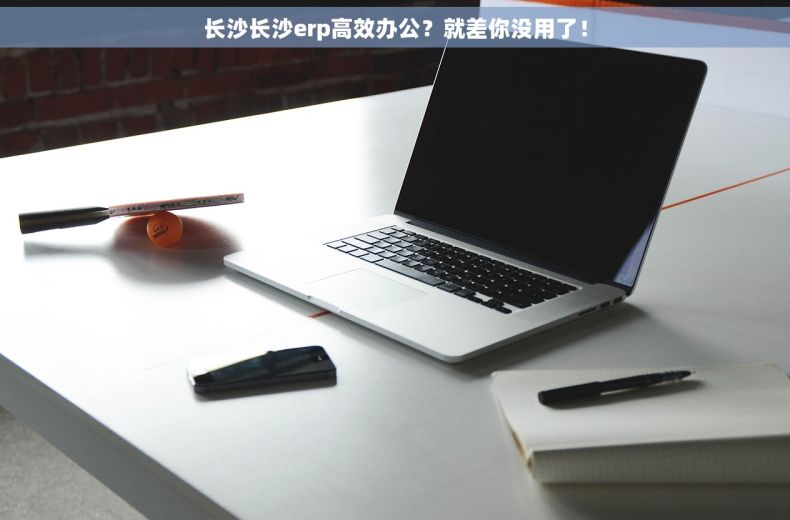 长沙长沙erp高效办公？就差你没用了！