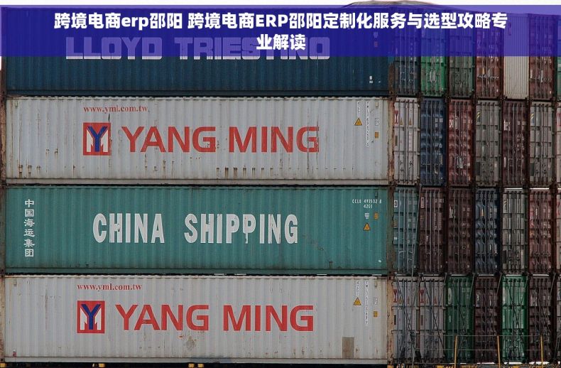 跨境电商erp邵阳 跨境电商ERP邵阳定制化服务与选型攻略专业解读
