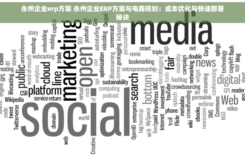 永州企业erp方案 永州企业ERP方案与电商规划：成本优化与快速部署秘诀