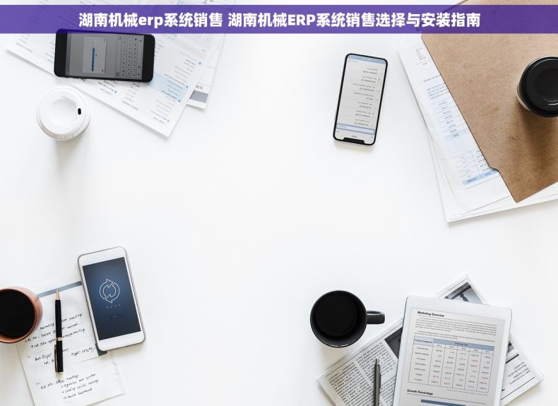 湖南机械erp系统销售 湖南机械ERP系统销售选择与安装指南