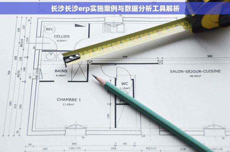 长沙长沙erp实施案例与数据分析工具解析