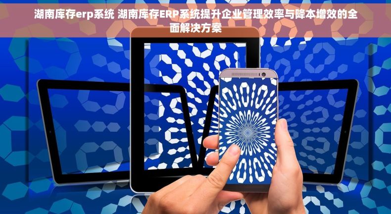 湖南库存erp系统 湖南库存ERP系统提升企业管理效率与降本增效的全面解决方案