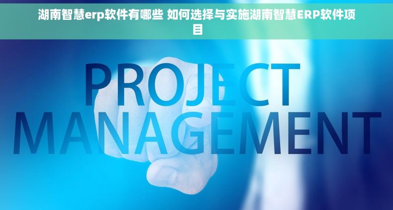 湖南智慧erp软件有哪些 如何选择与实施湖南智慧ERP软件项目