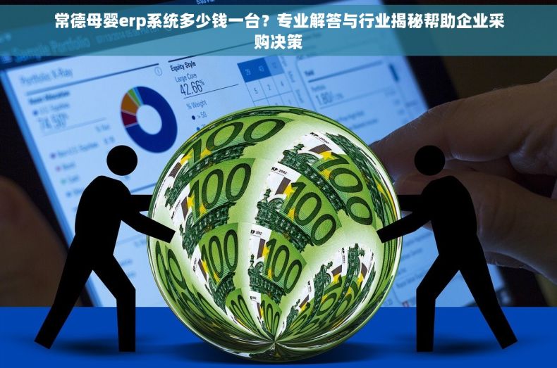 常德母婴erp系统多少钱一台？专业解答与行业揭秘帮助企业采购决策