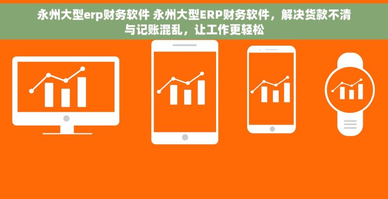 永州大型erp财务软件 永州大型ERP财务软件，解决货款不清与记账混乱，让工作更轻松