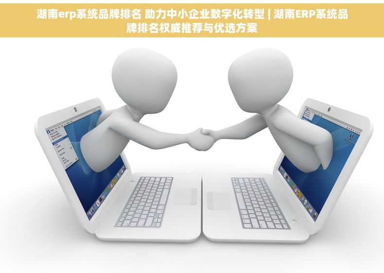 湖南erp系统品牌排名 助力中小企业数字化转型 | 湖南ERP系统品牌排名权威推荐与优选方案