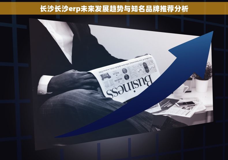 长沙长沙erp未来发展趋势与知名品牌推荐分析