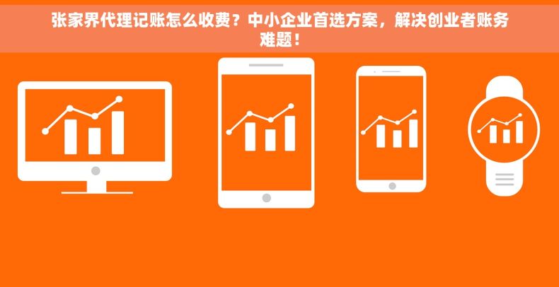 张家界代理记账怎么收费？中小企业首选方案，解决创业者账务难题！
