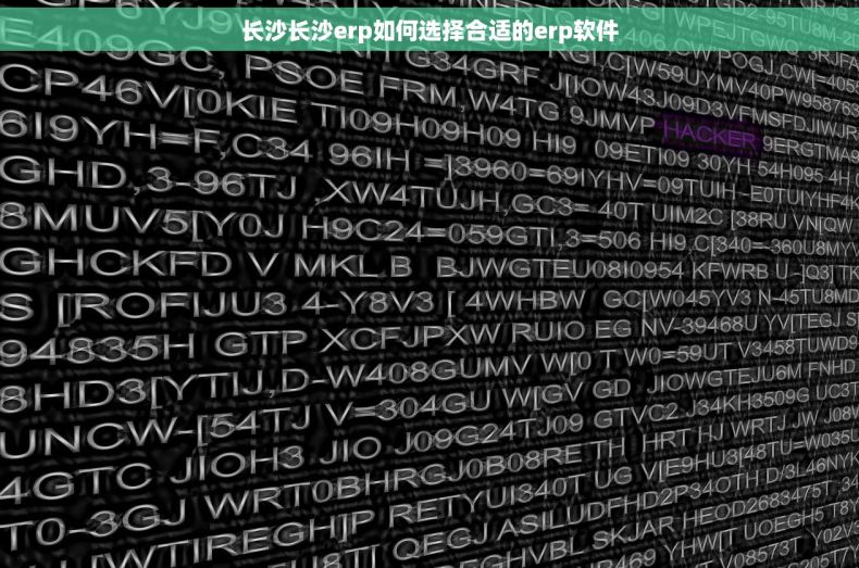 长沙长沙erp如何选择合适的erp软件