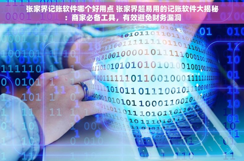 张家界记账软件哪个好用点 张家界超易用的记账软件大揭秘：商家必备工具，有效避免财务漏洞