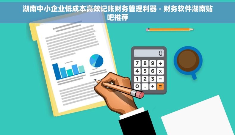 湖南中小企业低成本高效记账财务管理利器 - 财务软件湖南贴吧推荐
