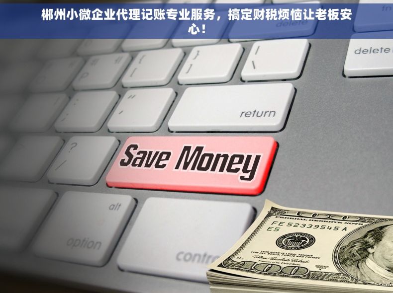 郴州小微企业代理记账专业服务，搞定财税烦恼让老板安心！