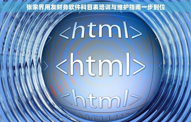 张家界用友财务软件科目表培训与维护指南一步到位