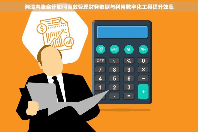 湘潭内账会计如何高效管理财务数据与利用数字化工具提升效率
