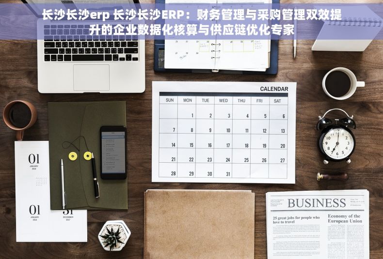 长沙长沙erp 长沙长沙ERP：财务管理与采购管理双效提升的企业数据化核算与供应链优化专家