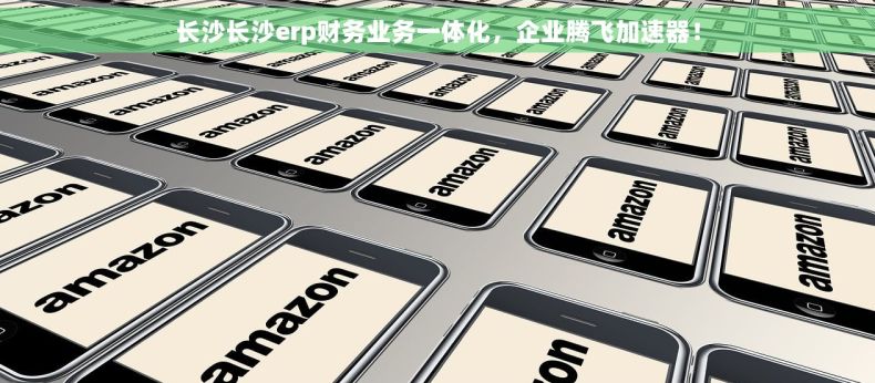 长沙长沙erp财务业务一体化，企业腾飞加速器！