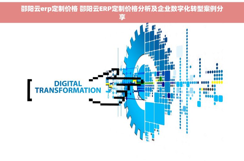 邵阳云erp定制价格 邵阳云ERP定制价格分析及企业数字化转型案例分享