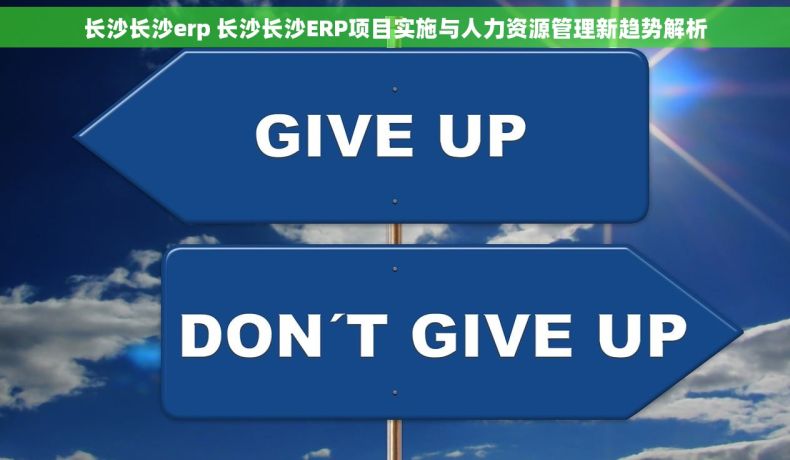 长沙长沙erp 长沙长沙ERP项目实施与人力资源管理新趋势解析