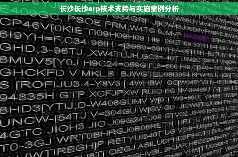 长沙长沙erp技术支持与实施案例分析