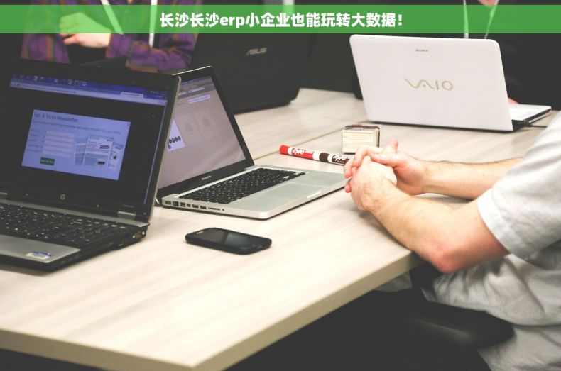 长沙长沙erp小企业也能玩转大数据！