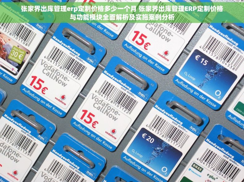张家界出库管理erp定制价格多少一个月 张家界出库管理ERP定制价格与功能模块全面解析及实施案例分析