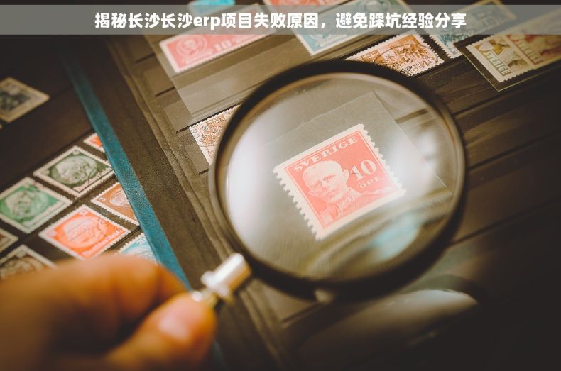 揭秘长沙长沙erp项目失败原因，避免踩坑经验分享