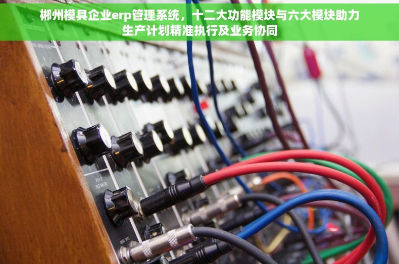 郴州模具企业erp管理系统，十二大功能模块与六大模块助力生产计划精准执行及业务协同