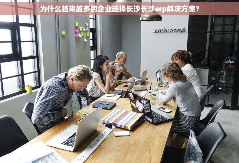 为什么越来越多的企业选择长沙长沙erp解决方案？