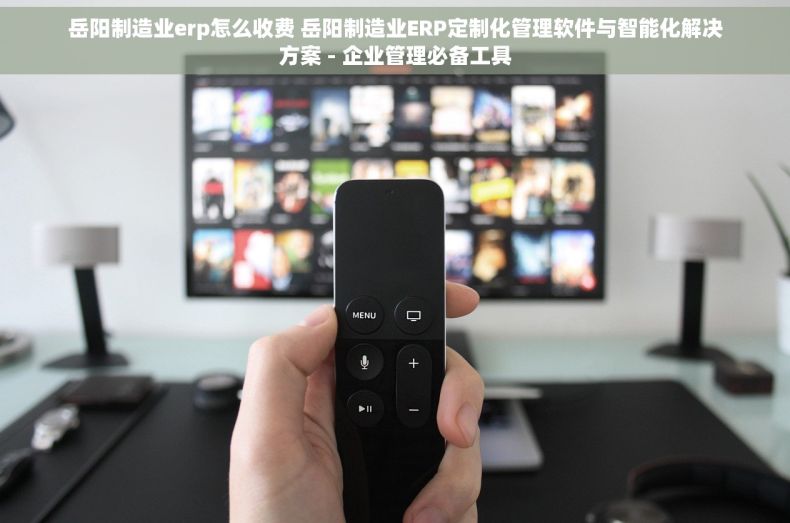 岳阳制造业erp怎么收费 岳阳制造业ERP定制化管理软件与智能化解决方案 - 企业管理必备工具