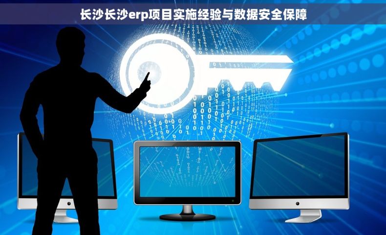 长沙长沙erp项目实施经验与数据安全保障