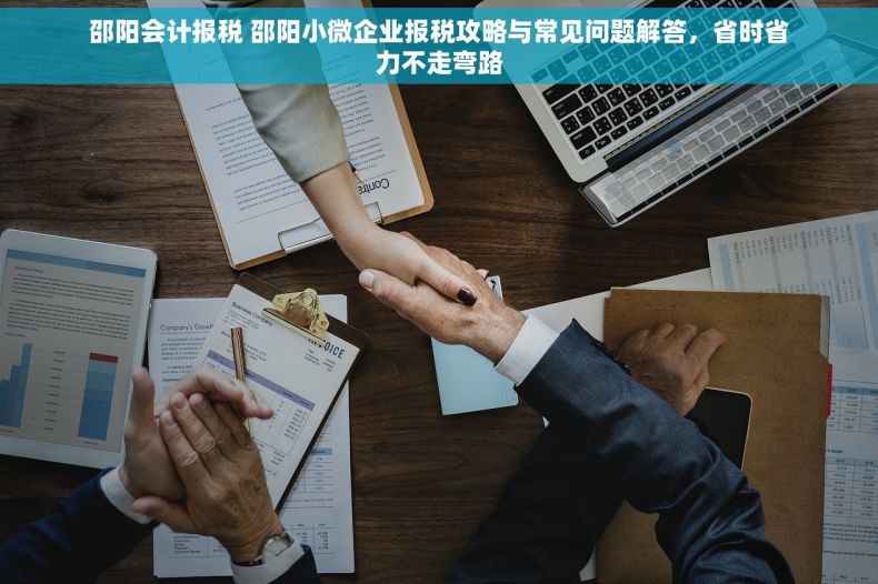 邵阳会计报税 邵阳小微企业报税攻略与常见问题解答，省时省力不走弯路