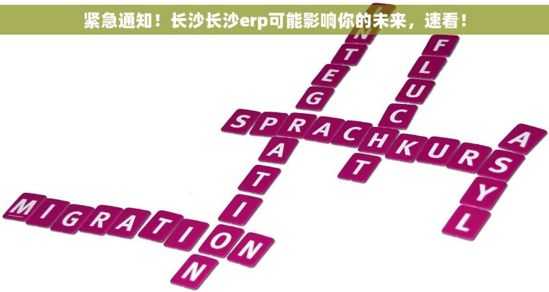 紧急通知！长沙长沙erp可能影响你的未来，速看！
