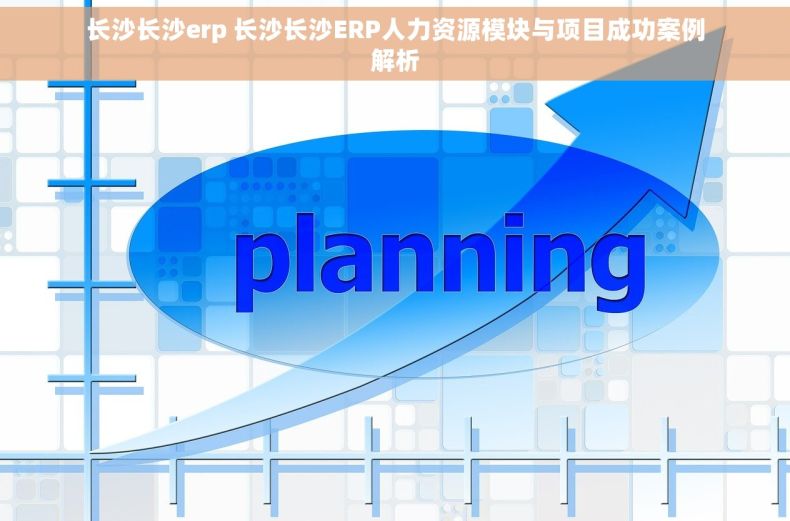 长沙长沙erp 长沙长沙ERP人力资源模块与项目成功案例解析