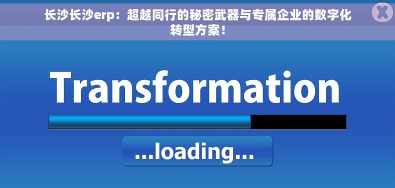 长沙长沙erp：超越同行的秘密武器与专属企业的数字化转型方案！