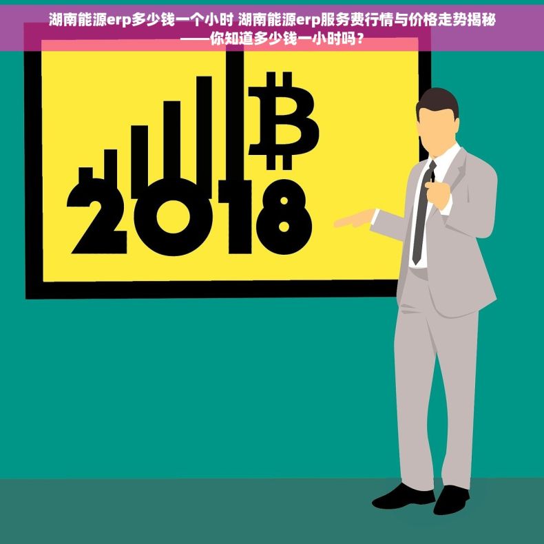 湖南能源erp多少钱一个小时 湖南能源erp服务费行情与价格走势揭秘——你知道多少钱一小时吗？