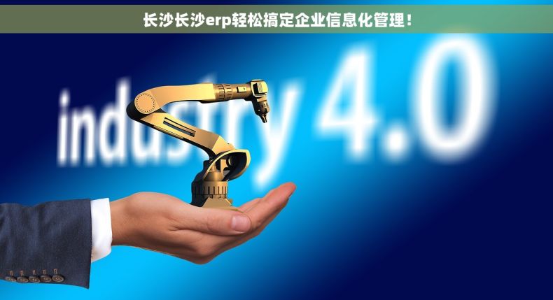 长沙长沙erp轻松搞定企业信息化管理！