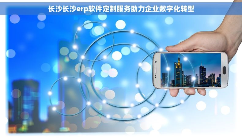 长沙长沙erp软件定制服务助力企业数字化转型