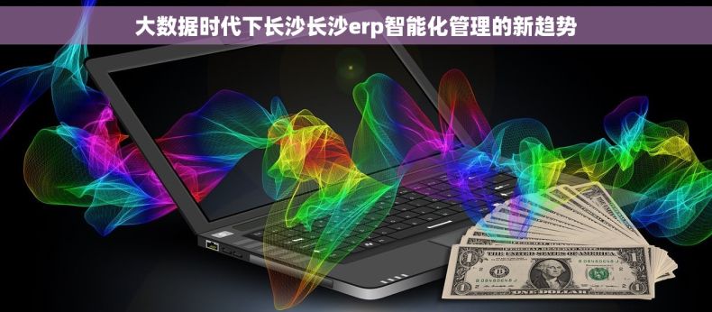 大数据时代下长沙长沙erp智能化管理的新趋势