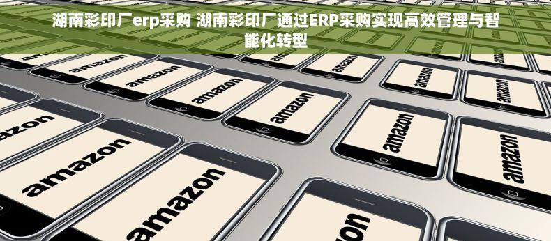 湖南彩印厂erp采购 湖南彩印厂通过ERP采购实现高效管理与智能化转型