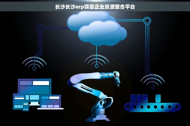 长沙长沙erp项目企业资源整合平台