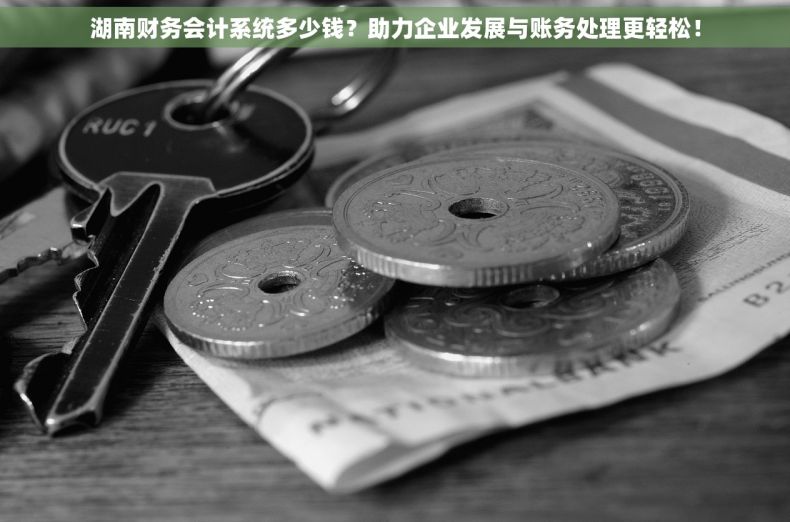 湖南财务会计系统多少钱？助力企业发展与账务处理更轻松！