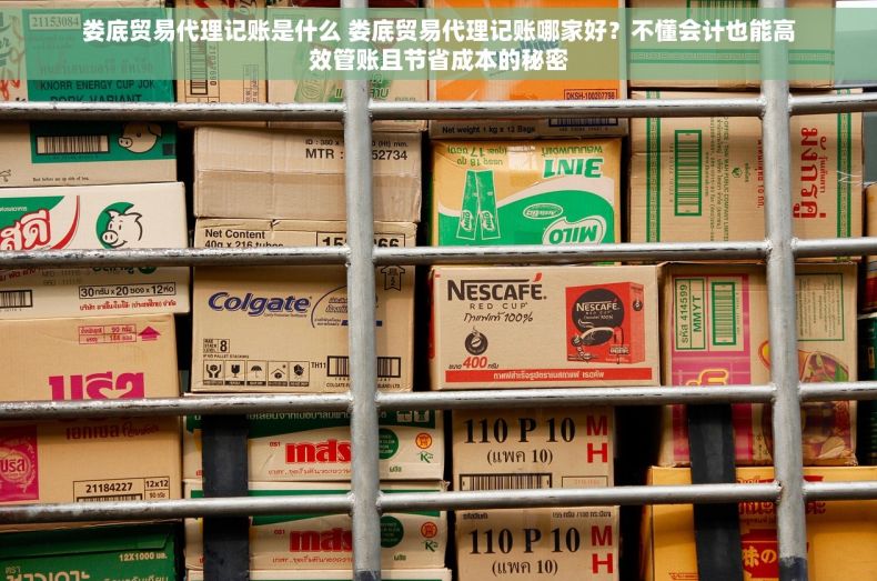 娄底贸易代理记账是什么 娄底贸易代理记账哪家好？不懂会计也能高效管账且节省成本的秘密