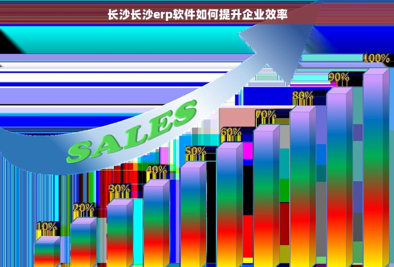 长沙长沙erp软件如何提升企业效率